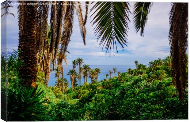 View of the tropical Atlantic coast through the leaves of palm t Canvas Print by Joaquin Corbalan