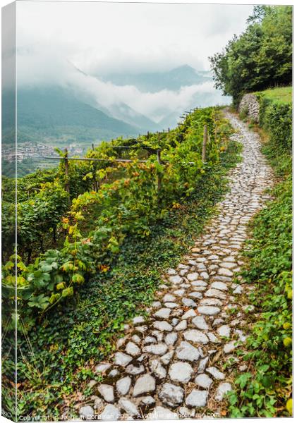 Mountainside with vineyards on a cloudy day in the Italian Alps. Canvas Print by Joaquin Corbalan