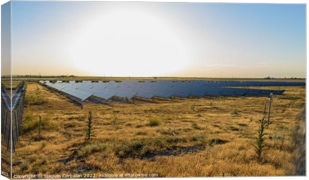 A semi-desert field with solar panels to generate electricity at Canvas Print by Joaquin Corbalan