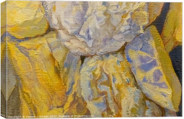 Colorful details of a dry oil painting, background with real tex Canvas Print by Joaquin Corbalan