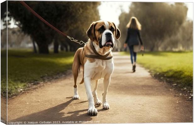 A woman walks her dog through a city park, on a leash. Ai genera Canvas Print by Joaquin Corbalan