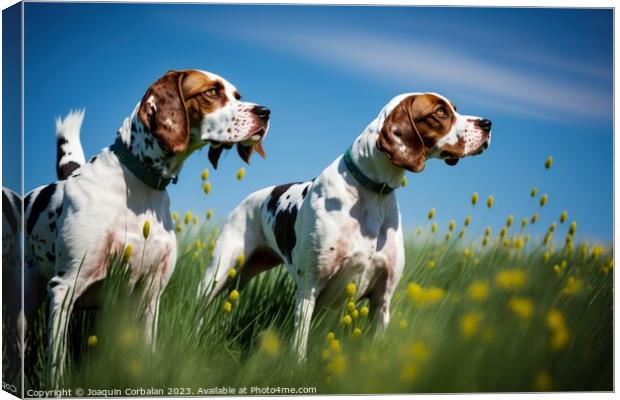 An English Pointer dog, healthy and attentive to prey. Ai genera Canvas Print by Joaquin Corbalan