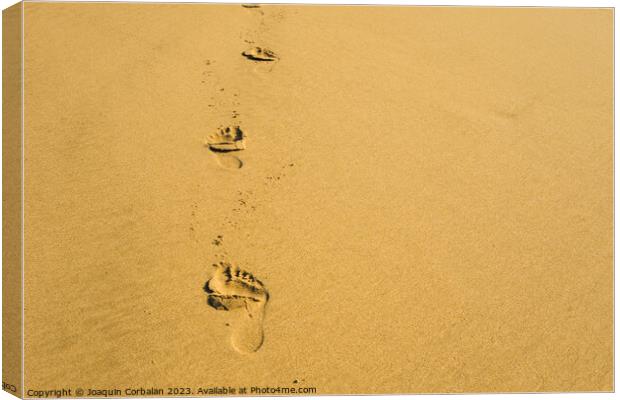 Shoreline, delicate footprints bear witness to a moment of caref Canvas Print by Joaquin Corbalan