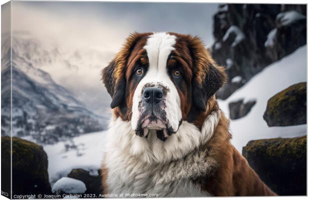 A Saint Bernard dog on the snow. Ai generated. Canvas Print by Joaquin Corbalan