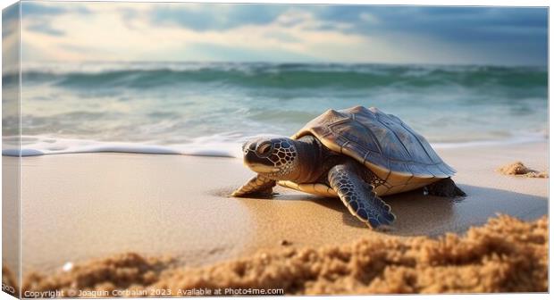 a tiny baby turtle embarks on its wobbly seaside odyssey. Ai gen Canvas Print by Joaquin Corbalan