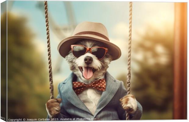 A little dog in clothes and glasses swings funny o Canvas Print by Joaquin Corbalan