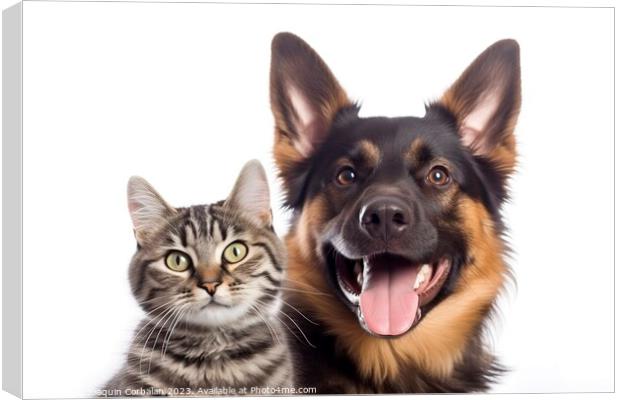 Dog and a cat are friends and they pose funny. Ai  Canvas Print by Joaquin Corbalan