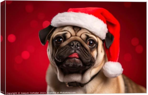 A charming dog wears a Christmas hat and poses aga Canvas Print by Joaquin Corbalan