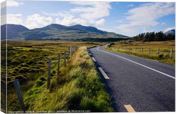 Travelers in search of solitude and nature are enchanted by the Irish roads. Canvas Print by Joaquin Corbalan