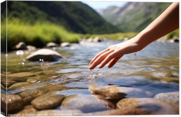 Pure, fresh water from a mountain stream, soaked i Canvas Print by Joaquin Corbalan