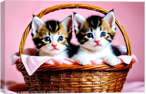 Tender and playful kittens in a basket. Canvas Print by Joaquin Corbalan