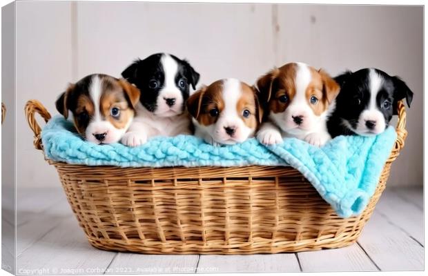 Tender puppies in a basket, an image that reaches  Canvas Print by Joaquin Corbalan