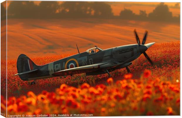 Classic spitfire aircraft, perched in a field of red poppies celebrating the Battle of Britain Memorial Canvas Print by Joaquin Corbalan