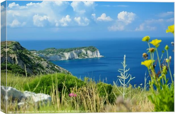 A breathtaking view of the ocean from a hill on a Greek island. Canvas Print by Joaquin Corbalan