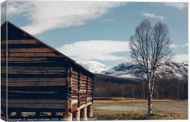 Norwegian landscapes with snow and trees Canvas Print by Joaquin Corbalan