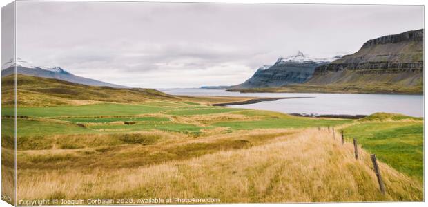 Landscape of green and leafy pastures in the mountainous valleys of Iceland. Canvas Print by Joaquin Corbalan
