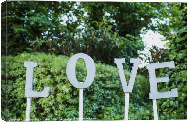 Word Love in wooden letters to decorate a wedding. Canvas Print by Joaquin Corbalan