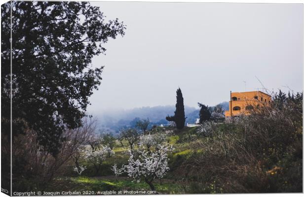 Beautiful landscape with fog an autumn in the mountains of the Alpujarra Granada, Spain. Canvas Print by Joaquin Corbalan