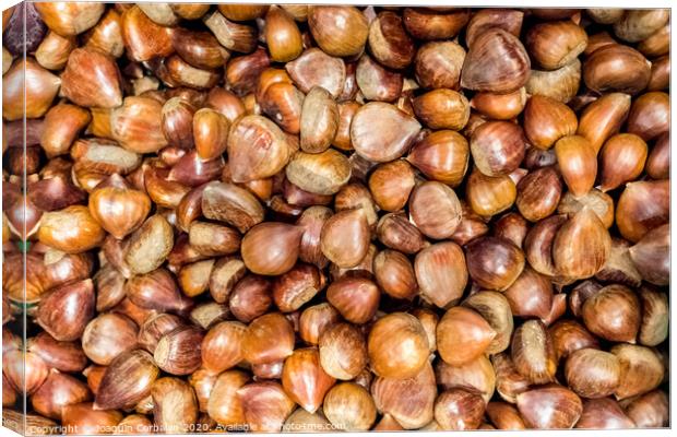Piles of fresh unpeeled raw chestnuts. Canvas Print by Joaquin Corbalan