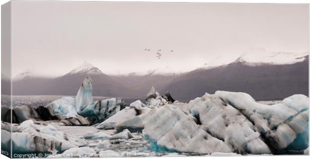 Large icebergs detached from the tongue of a glacier reaching the coast, in Iceland, paradise for adventurers. Canvas Print by Joaquin Corbalan