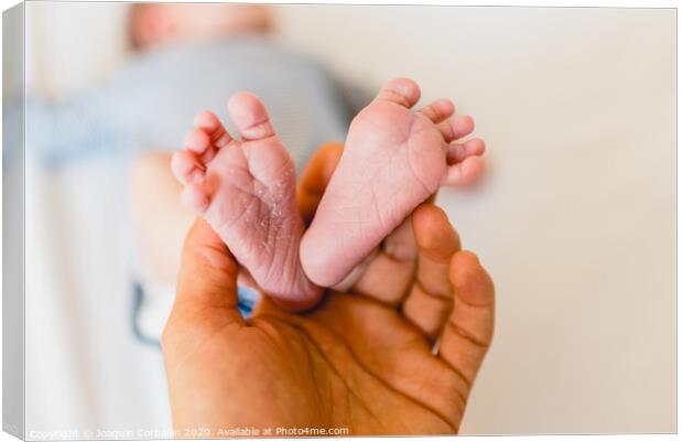 Newborn feet skinning held by mommy Canvas Print by Joaquin Corbalan