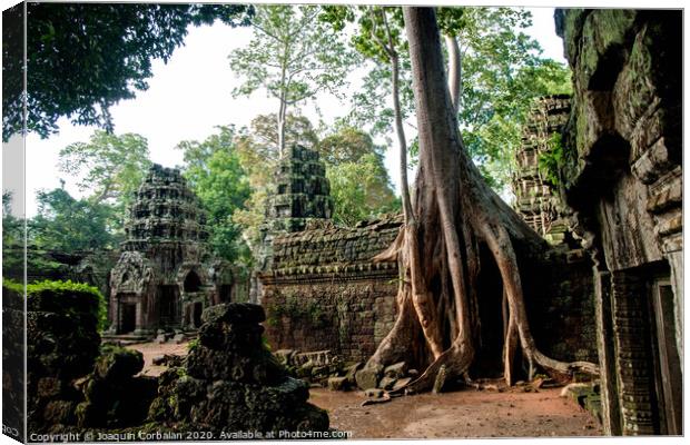 Religious temples in Cambodia of Angkor Wat Canvas Print by Joaquin Corbalan