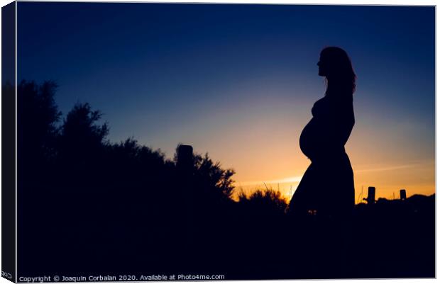Silhouette of pregnant woman at sunset with solid color background. Canvas Print by Joaquin Corbalan