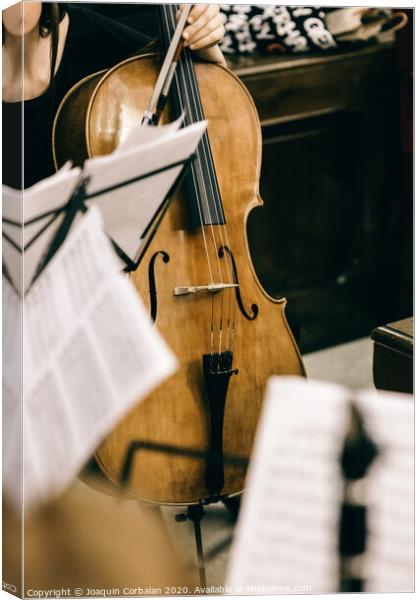 Violoncello held by a musician during a break at a classical music concert. Canvas Print by Joaquin Corbalan
