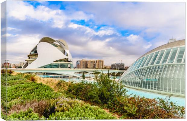 Complex of the city of arts and sciences of Valencia, spain, one of the most visited buildings in Valencia by tourists. Canvas Print by Joaquin Corbalan