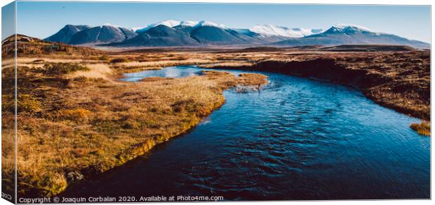 Icelandic landscapes full of green grass, sea and blue sky. Canvas Print by Joaquin Corbalan