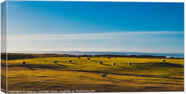 Icelandic landscapes full of green grass, sea and blue sky. Canvas Print by Joaquin Corbalan