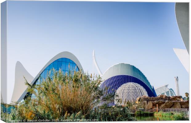 Exterior view of the oceanografic aquarium with the city in the background. Canvas Print by Joaquin Corbalan