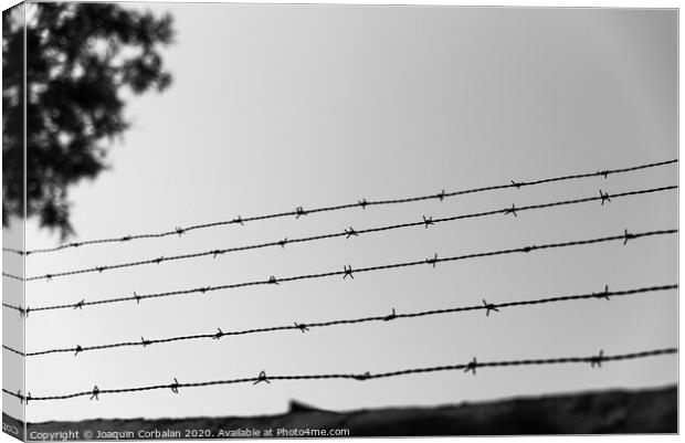 A wall with an old barbed wire line to prevent theft. Canvas Print by Joaquin Corbalan