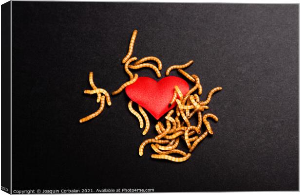 Heart broken background for valentine, rotten by worms metaphor. Canvas Print by Joaquin Corbalan