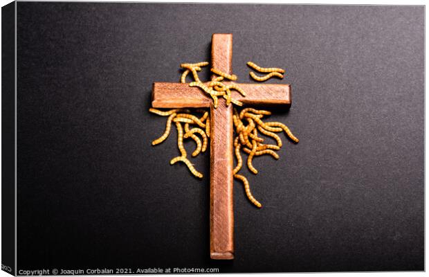 Christian wooden cross attacked by worms that rot the roots of C Canvas Print by Joaquin Corbalan