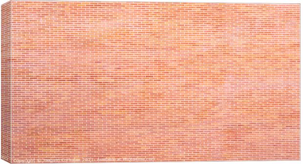 Background of bricks glued to the wall with cement, texture to c Canvas Print by Joaquin Corbalan