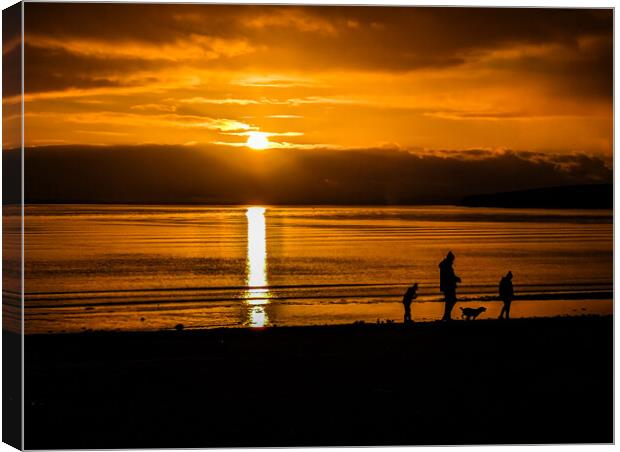 Golden sunset over scapa  Canvas Print by Myles Campbell