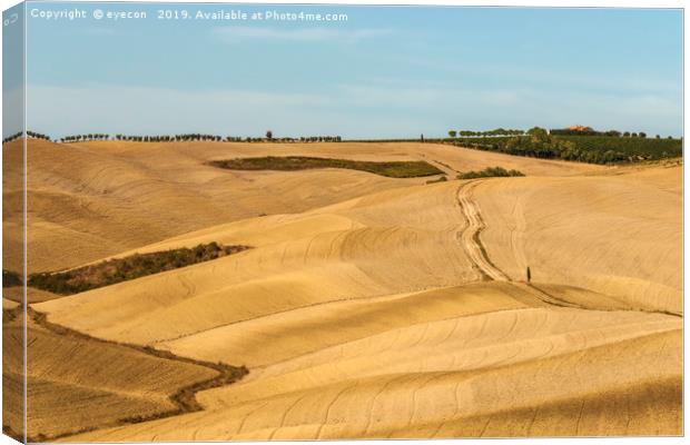 Typical landscapes for Siena Province in Tuscany,  Canvas Print by eyecon 