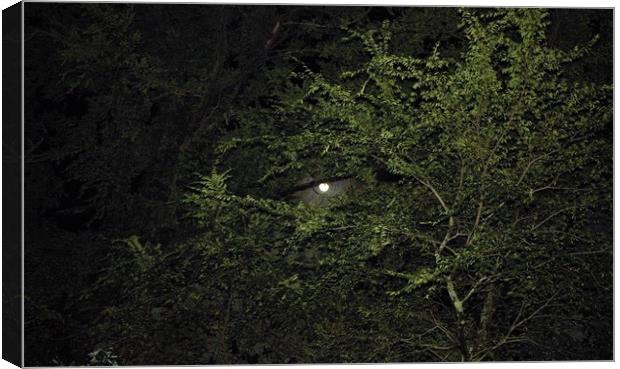 The full moon peaking out Canvas Print by Kathleen Wells - Stalla