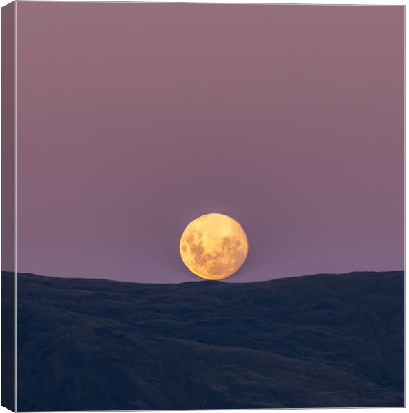 Full moon rise Canvas Print by Renato Junior