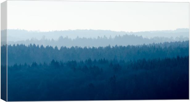 Blue Forest  Canvas Print by Mike C.S.