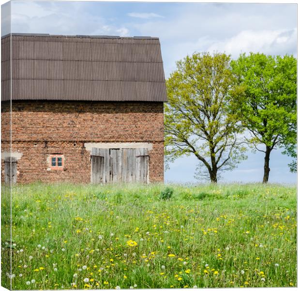 Abandoned Barn In The Countryside  Canvas Print by Mike C.S.