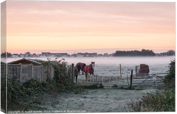 Waiting on a frosty morning Canvas Print by louise stanley