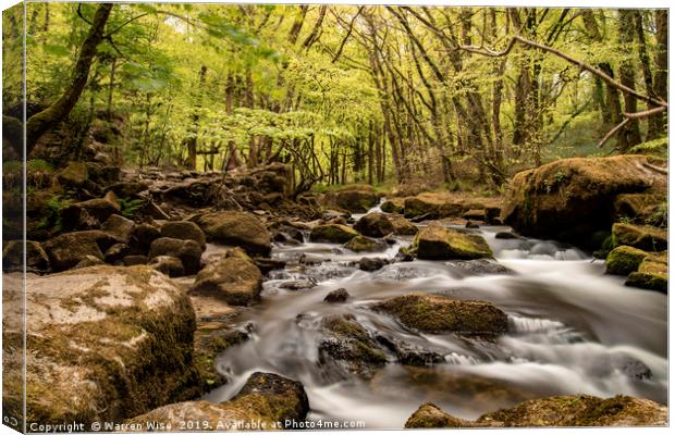 Golitha Falls Canvas Print by Warren Wise