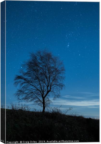 Lone Tree Under A Starry Sky Canvas Print by Craig Oxley