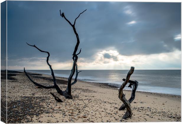Covehithe Beach at sunrise Canvas Print by Robbie Spencer