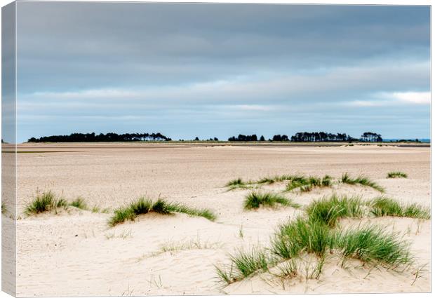 Wells-Next-The-Sea beach Canvas Print by Robbie Spencer