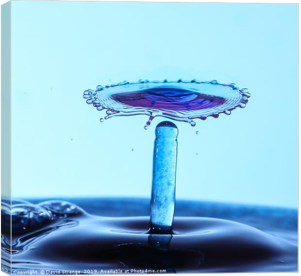 Purple waterdrop spinning top Canvas Print by David Strange