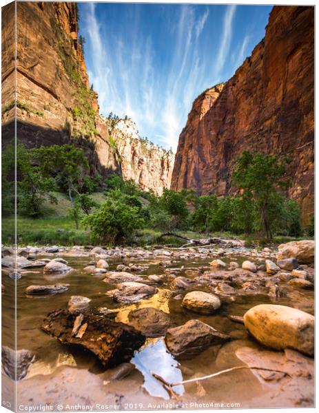 River through Zion National Park Canvas Print by Anthony Rosner