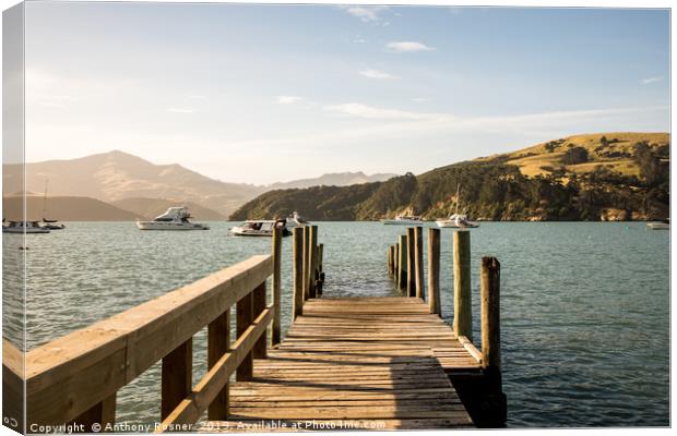 Wooden pier in Akaroa  Canvas Print by Anthony Rosner